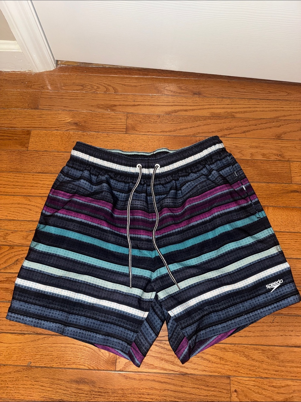 Speedo Men’s Striped Swim Shorts